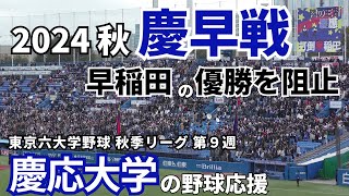 【今年最後の慶早戦】2024秋 東京六大学野球 秋季リーグ 慶應大vs早稲田大