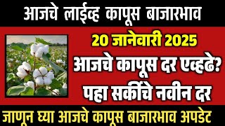 🔴आजचे कापूस व सरकी बाजारभाव / 15 जानेवारी 2025 कापूस बाजार / कापूस बाजारभाव / kapus bhav 2025