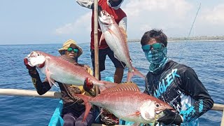 MANCING IKAN KURISI ll full jigging #fishing #mancing #fish #mancingmania