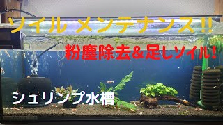 ソイルメンテナンス！シュリンプ水槽長期維持に向けて！