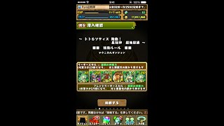 【パズドラ】トト＆ソティス降臨　超地獄級　覚醒セレスPT