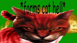 warrior cats lore in a nutshell