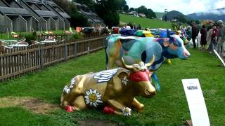 #Suisse exposition de #vaches peintes au lac de #Gruyère