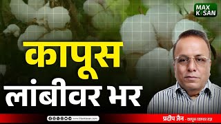 कापूस भर भर | कमाल किसान | कापसाच्या लांबीवर भर