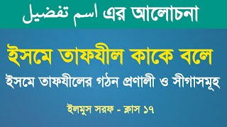 ইসমে তাফযীল কাকে বলে? ইসমে তাফযীলের গঠন-প্রণালী ও গরদান। (اسم تفضيل) ইলমুস সরফ ক্লাস-১৭ Isme Tafzil