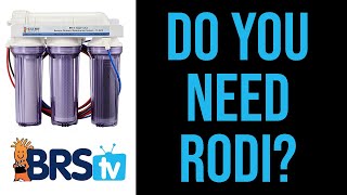 Do You Really Need RODI Water for Saltwater Tank? PT1: BRStv Guide to RODI Systems & Reef Tanks