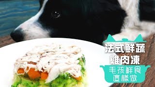 【毛孩鮮食這樣做】法式鮮蔬雞肉凍 │愛寶寵新知 AIPAWs X 保健知識家