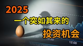 2025 | 一个突如其来的投资机会