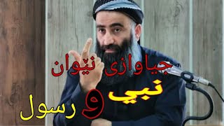 مەلا هەڵۆ: جیاوازی نێوان نبي و رسول