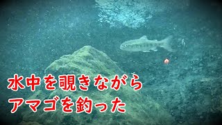 📹カメラで水中を覗きながらアマゴを釣った水中映像 　＃渓流、＃釣り　#水中動画　#レア映像　#you渓