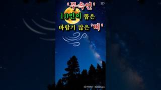 '무속인' 10인이 뽑은 바람끼 많은 '띠'