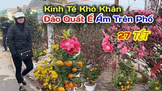 Kinh Tế Khó Khăn Đào Quất Tết Ế Ẩm Nhiều Trên Phố Hà Nội Tiểu Thương Lo Lắng Cái Tết Ấm No.