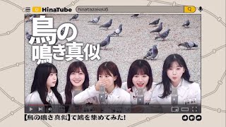 『鳴き真似シスターズ』#日向坂46 #日向坂で会いましょう