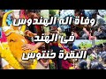 وفاة اله الهندوس في الهند ( البقرة حنتوس ) واعلان خبر الوفاه في موكب جنائزي كبير بالهند ..أنظر الوصف