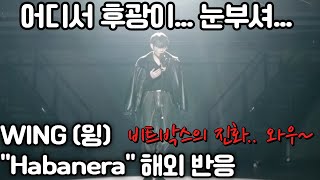 WING (윙) - Habanera 해외 반응. 어떻게 이런 소리를 내는 거야?! 울랄라 울랄라!! #윙 #리액션해외반응