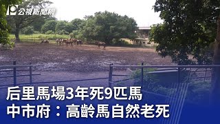 后里馬場3年死9匹馬  中市府：高齡馬自然老死｜20230912 公視晚間新聞