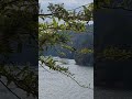 ponmudi dam idukki