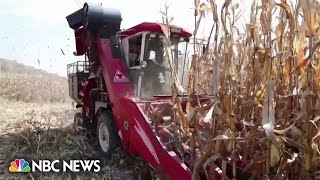 China’s food security threatened by climate change