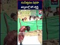 Kamalapuram Ashok News | RTV Nellore