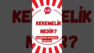 Kekemelik Nedir ? / Lali Yayınları