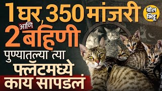 Pune House 300 Cats: दोन बहिणी, पुण्यातला एक फ्लॅट आणि 350 मांजरी हडपसरमधलं प्रकरण नक्की काय ?