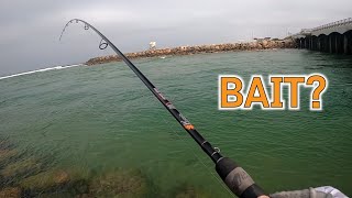 Halibut fishing Ep 16 Baits for Halibut Fishing / Lures? Live bait? or Frozen anchovy? 광어낚시 미끼