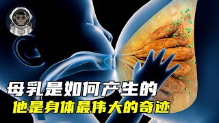 母乳是怎么产生的，它是女性身体最伟大的奇迹之一