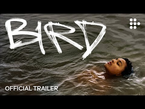 Review Bird Chicago Reader