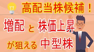 未来の高配当株候補！増配と株価上昇が期待できる中型株。ミライト・ワン【1417】の2024年3月期第1四半期の決算。