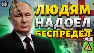 Вытравить кремлевскую моль! Роковое решение: Грузия – против Путина. Народ достал голову из песка