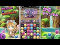 【パズドラ】究極シェリアスルーツが強すぎる！！早速闘技場３へ挑んでみた♪【攻略】