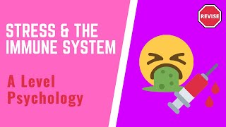 A Level Psychology - Stress & The Immune System