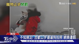 不知規定! 合歡山步道遛狗拍照 網美遭罰｜TVBS新聞