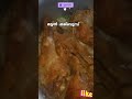 لحم مجبوس😍അറേബ്യൻ മട്ടൻ മജ്ബൂസ് mutton majboos