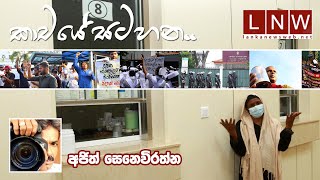 කාචයේ සටහන | Photo Story of the Week by Ajith Senevirathne 18 02 2024