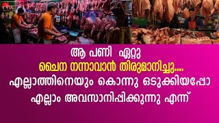 ചൈനീസ് ദ്രോഹികൾ എല്ലാത്തിനെയും കൊന്നൊടുക്കി !കൊറോണയുടെ ദുരൂഹത ഇപ്പോഴും ബാക്കി CHINA_Herald News Tv