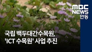 [안동MBC뉴스]국립백두대간수목원, 'ICT 수목원' 사업 추진