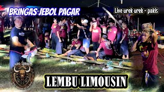 KALAPAN BRINGAS JEBOL PAGAR || LEMBU LIMOUSIN live boro urek urek - pakis