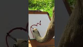 இந்த யானை என்ன அழகா படம் வரையுதுன்னு பாருங்க/Elephant draw her own picture/#shorts #youtube #nature