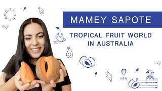 Finding Mamey Sapote in Australia | Tropical Fruit World