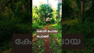 ഭാഗ്യം എന്ന് പറയുന്നത് ഇതൊക്കെ തന്നെയല്ലേ #song #tamil  #tamilsong #kerala  #trending #malayalam