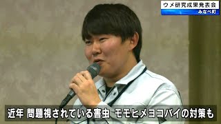 日本一の収穫量を誇る梅の育て方など ウメ研究成果発表会 和歌山県みなべ町