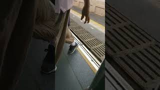 【異音？】阪神5517編成のドアチャイムが･･･？ #shorts #阪神 #阪神電車