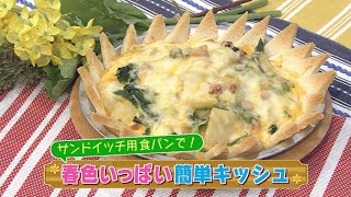 【KTN】春色いっぱい簡単キッシュ【マルっと！お役立ち よかよーごはん】