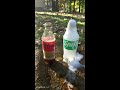 coke vs mentos vs sprite science experiment reaction