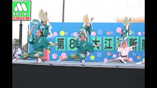 胡蝶蓮  東京ゑびす連 コラボレーション 第8回 大江戸新座祭り ステージ組踊り