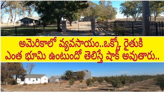 Rural Villages and Farms in USA || my village Telugu vlogs from USA