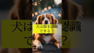 犬は人間や犬の顔を認識できる？ #犬の雑学 #犬の研究結果 #犬のいる暮らし