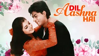 दिल आशना है (4K) Hindi Full Movie | Shah Rukh Khan | Divya Bharti | Dil Aashna Hai 1992 | Jeetendra