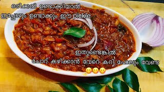 രുചിയേറും  ഈ ഉള്ളി  അച്ചാർ  ഒന്ന്  ഉണ്ടാക്കി  നോക്കൂ //easy and tasty onion 🧅 pickle